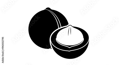 Black and White Illustration of a Macadamia Nut.