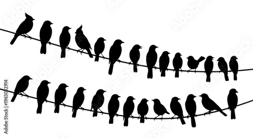 Silhouettes of Many Birds Perched on Power Lines.