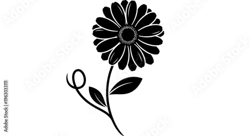 Black Silhouette of a Daisy Flower with Stem and Leaves.