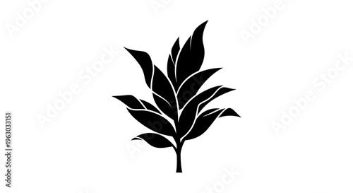 Black Silhouette of a Lush Green Plant Branch.