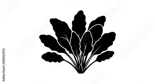 Black Silhouette of a Lush Green Plant.