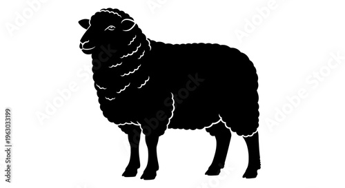 Silhouette of a Black Sheep Standing Proudly.