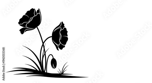 Black Silhouette of Two Poppies and a Bud.