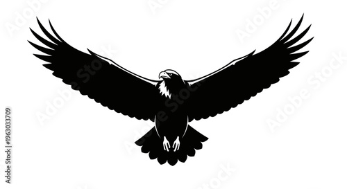 Silhouette of a majestic eagle in flight with wings spread wide.