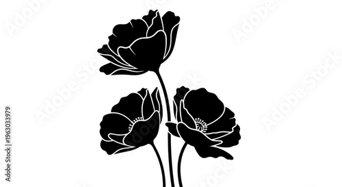 Elegant Black Silhouette of Three Poppies.