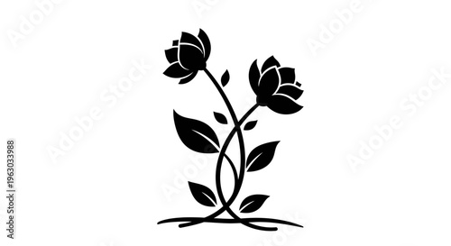 Elegant Black Silhouette of Two Blooming Flowers with Leaves.