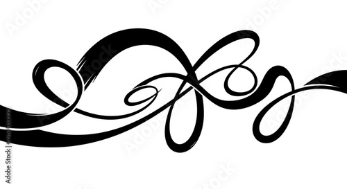Elegant Black Swirls Decorative Flourish Design.