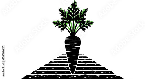 Giant Carrot Growing in a Field.