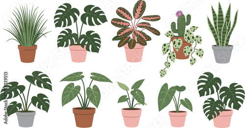 Large collection of indoor potted plants including monstera snake plant and cactus isolated on white background for home garden vector