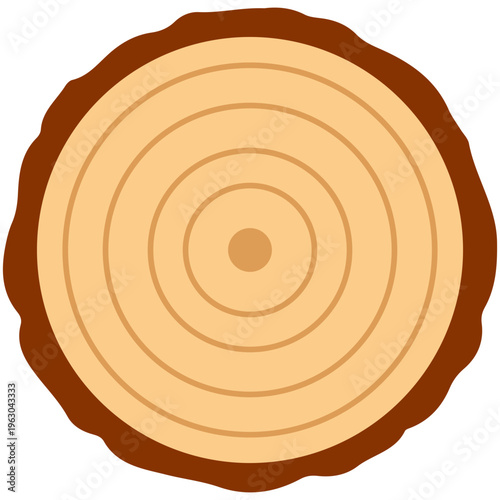 Large wood slice cross section with rings, natural timber, forest resource, organic growth.