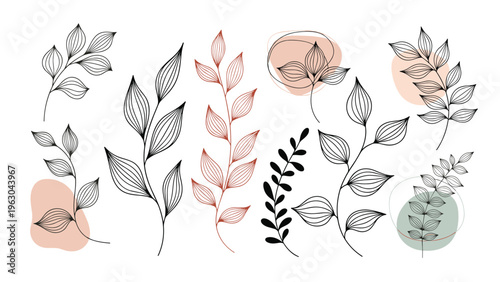 Set of detailed engraved botanical leaf sketches with soft pink and green abstract color accents on a white background for a refined design.