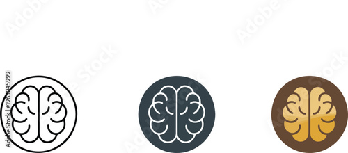 Set of minimalist walnut nut icons in outline silhouette and colorful flat vector styles for organic food design.