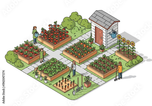 People gardening in a community garden with raised beds and a shed