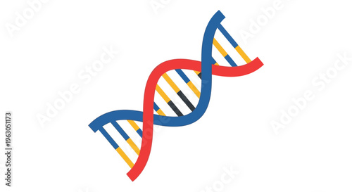 Stylized depiction of a dna double helix structure using red blue and yellow tones