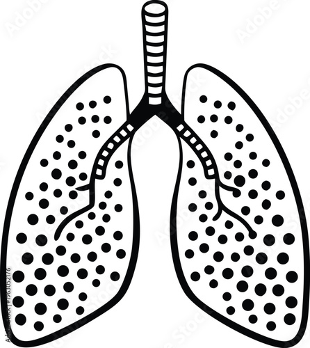 Simple illustration of human lungs with bronchi and alveoli details