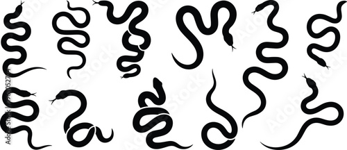 Snake silhouettes collection, reptile vector artwork, coiled serpent illustration, wildlife clipart design, black reptile symbol, nature inspired art, animal posture set