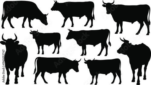 Cow silhouettes collection, farm animal vector, cattle illustration artwork, black livestock design, nature inspired clipart, rural agriculture symbol, minimalist art