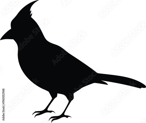 A striking black silhouette of a northern cardinal perched gracefully
