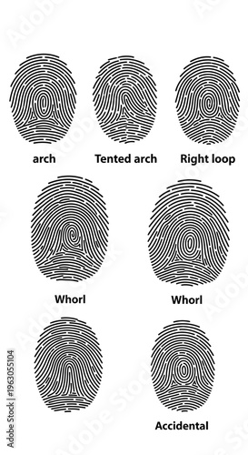 Fingerprint Patterns: Arch, Tented Arch, Loop, Whorl, Accidental