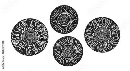 Four stylized ammonite fossils, black and white, graphic design, ancient marine life