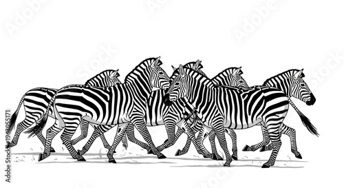 Herd of Zebras Running Wild Across the Plains in Dynamic Motion