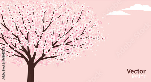Sakura Cherry Blossom Tree in Full Bloom, Pink Petals Falling, Springtime Serenity