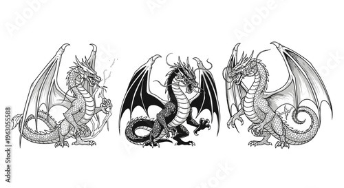 Three Mythical Dragons Illustration: Fire, Dark, and Majestic Poses