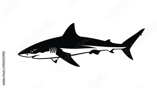 A striking black and white silhouette depicts a great white shark swimming gracefully in the ocean