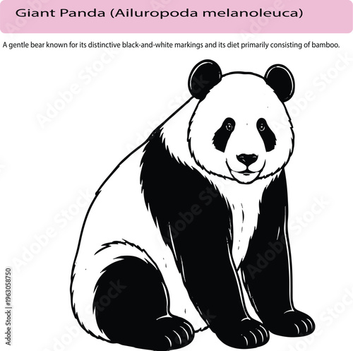A minimal realistic line art illustration of a panda sitting, with smooth consistent lines and subtle fur details. The iconic black patch areas are indicated through clean line work