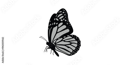 Quadro su tela A detailed grayscale image depicting a monarch butterfly in profile showcasing i