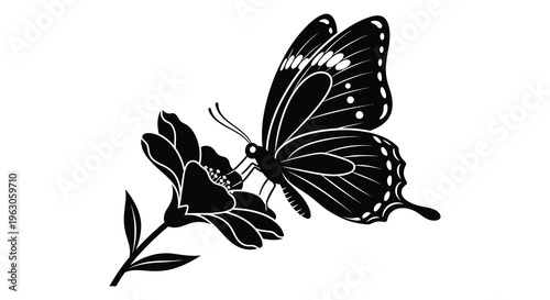 Quadro su tela A delicate butterfly rests upon a blossoming flower depicted in a striking black