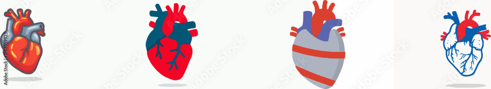 Fototapeta premium Vibrant Illustration of a Detailed Human Heart