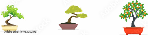 Elegant Bonsai Tree in a Pot