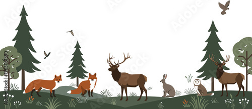 Forest scene with deer rabbits and birds in a natural woodland environment with trees and foliage