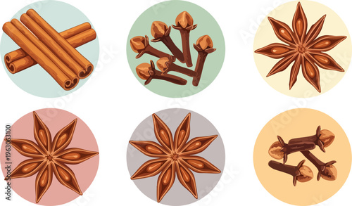 Aromatic spice collection with cinnamon sticks, star anise, and cloves. Culinary herb vector set for kitchen decor and food packaging. Brown organic spices.