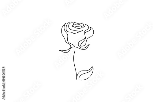 Rose flower with flowing stem expressing eternal love and passion
