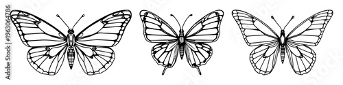 Butterfly set with symmetrical line art featuring cybernetic wings, mechanical detail, tech-nature style with white background and digital illustration