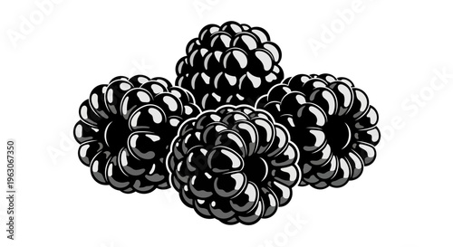 Fresh Blackberries Cluster Isolated on White Background - Healthy Berry Fruit