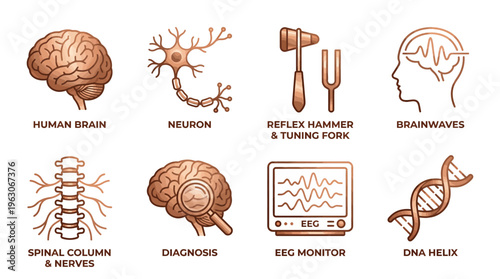 Neuroscience Medical Vector Icons | Brain, Neuron, Brainwave, Spinal Column, EEG Monitor, DNA Helix, Research Analysis, Sound Vibration | Biomedical Science Clipart Vector
