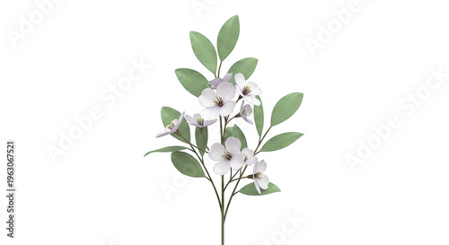 Delicate Lavender Blossoms with Green Leaves on White Background