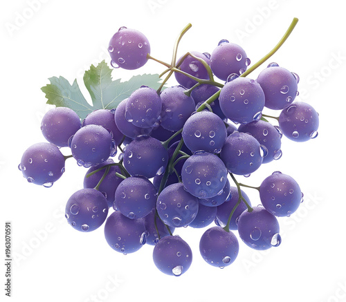 Fresh Vibrant Purple Grapes with Water Droplets and Green Leaf Isolated on White Background