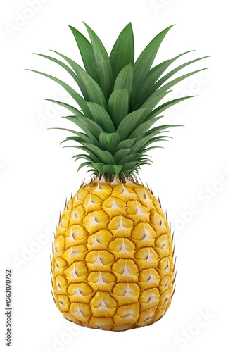 Whole Ripe Pineapple with Green Leafy Top Isolated on White Background