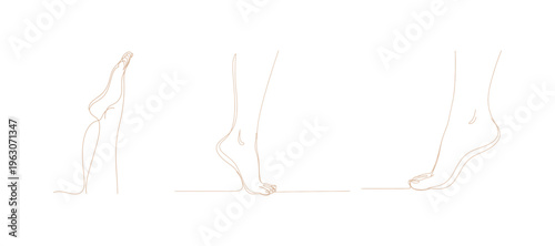 A single continuous line drawing of a bare foot. An elegant female leg depicted in a straightforward linear style. 