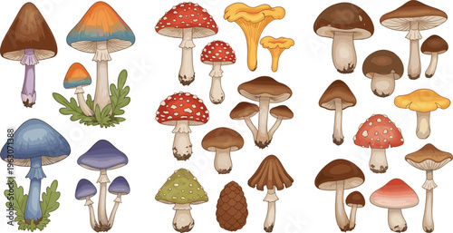 Mushroom collection with various forest fungi, toadstools and wild mushrooms vector illustration set