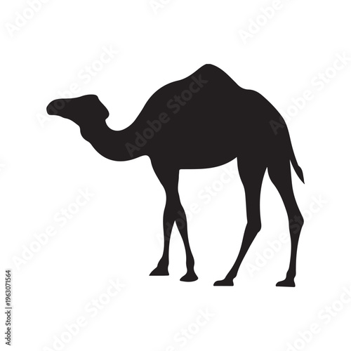 Simple Camel Outline Illustration for Kids Coloring and Crafts