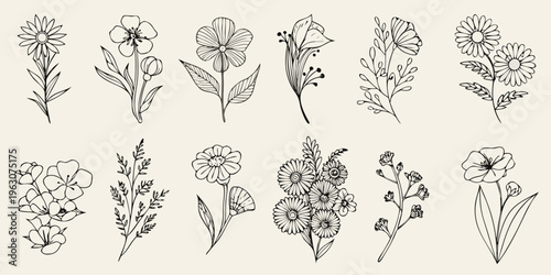 Delicate botanical illustration featuring various sketched floral arrangements