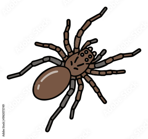 Wolf spider hunter illustration top view isolated on.... Generative AI