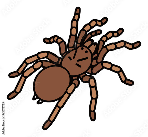 Exotic tarantula spider illustration top view isolat.... Generative AI