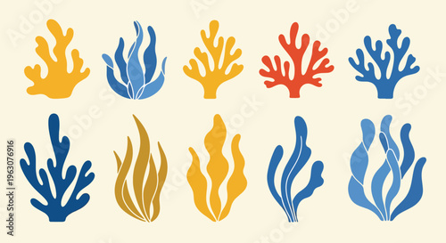 Colorful coral reef silhouettes in various shapes and sizes displayed on a light cream surface