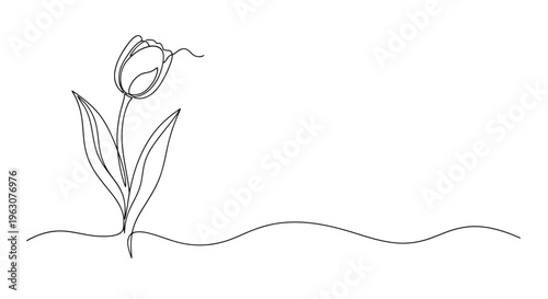 Continuous one line drawing of a tulip flower minimalist botanical design of a spring flower with leaves